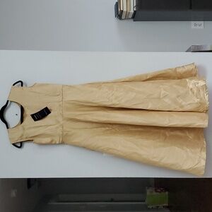 Cbazaar gold fit and flare maxi dress